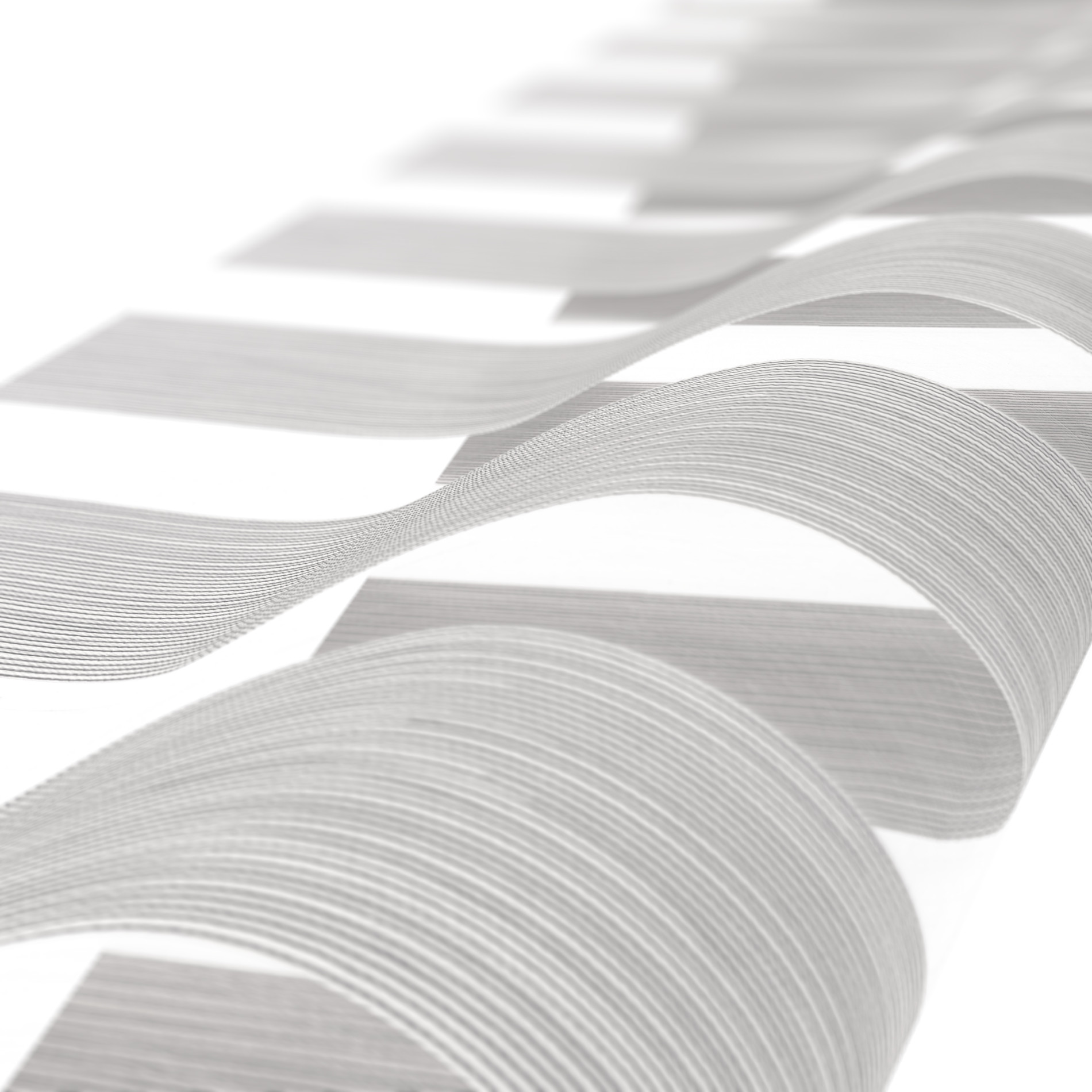 Collection FIJI,Colour White/Black,Type of fabrics Polyester