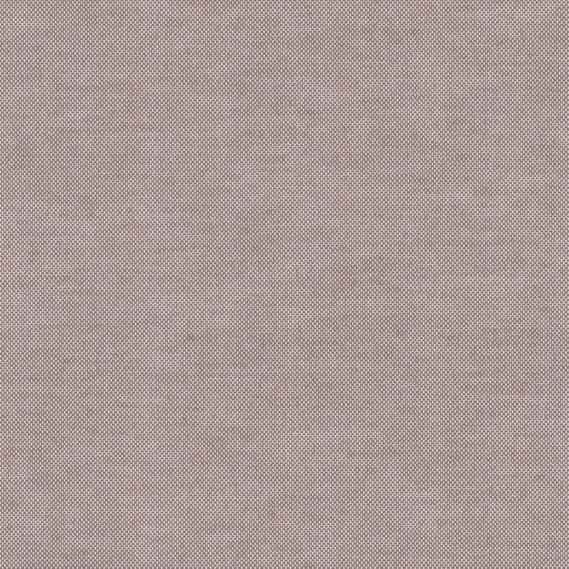 Collection DARWIN,Colour Taupe,Type of fabrics Polyester