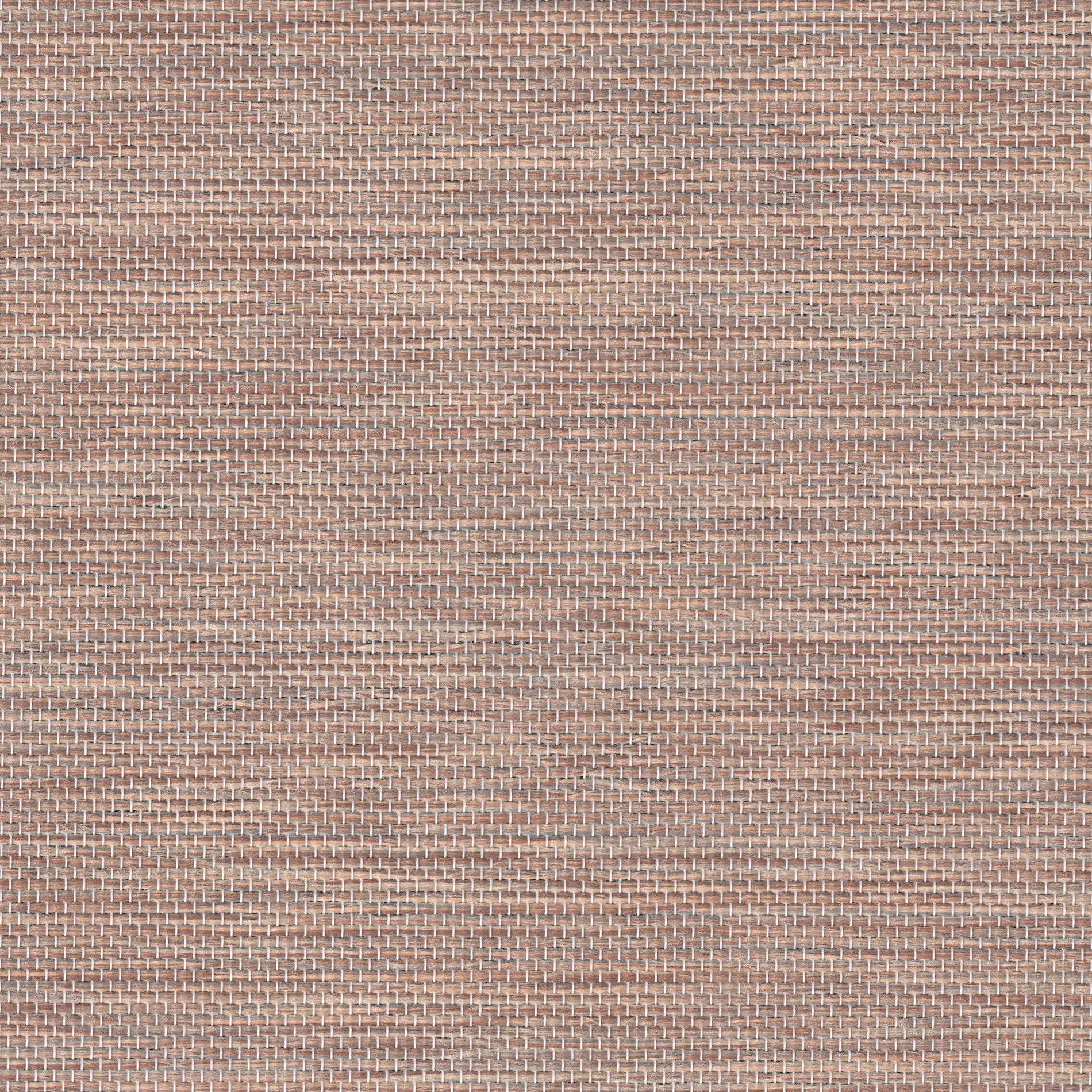 Collection Altex/Coulisse,Couleur Grain,Type tissu Polyester
