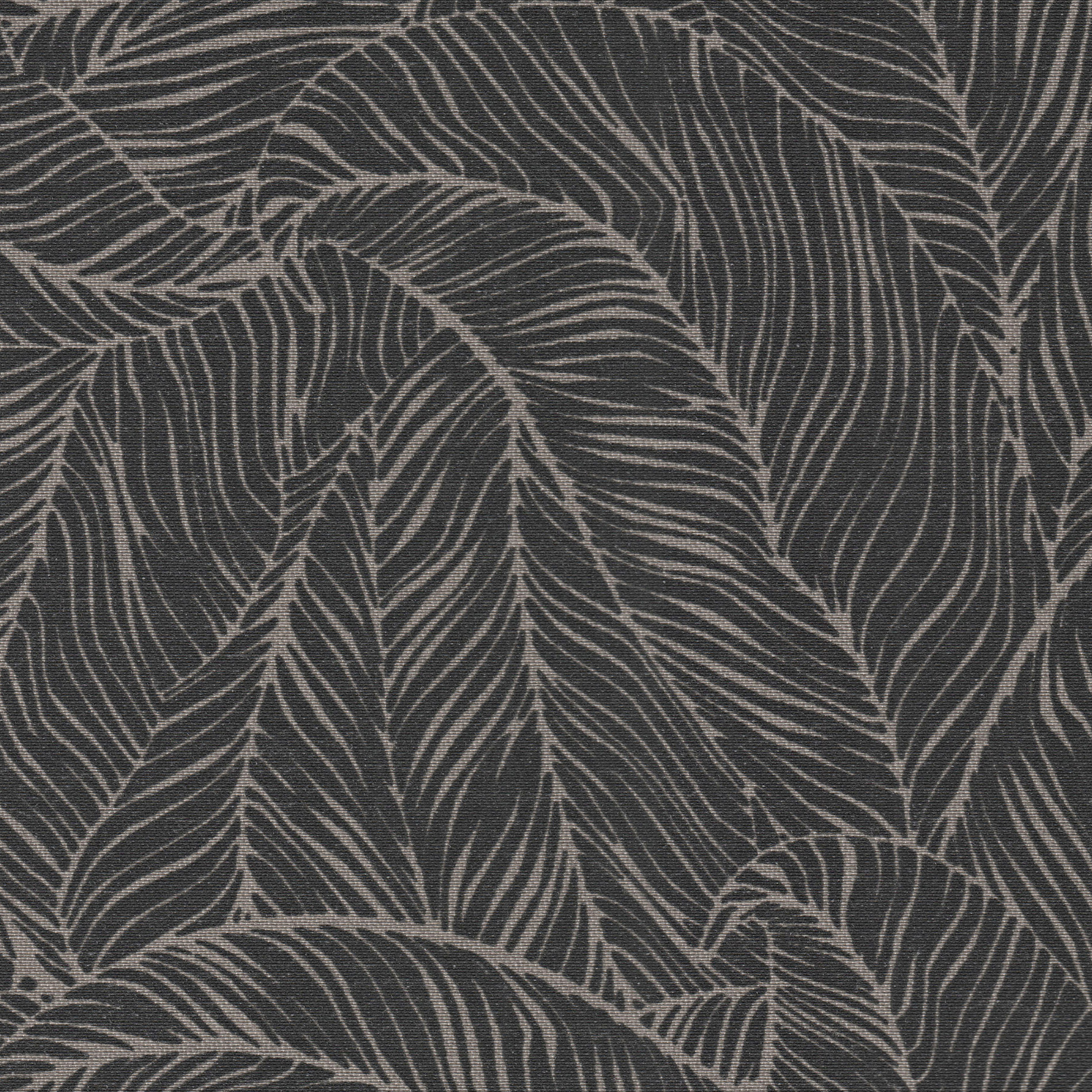 Collection Altex/Coulisse,Couleur Moth,Type tissu Polyester