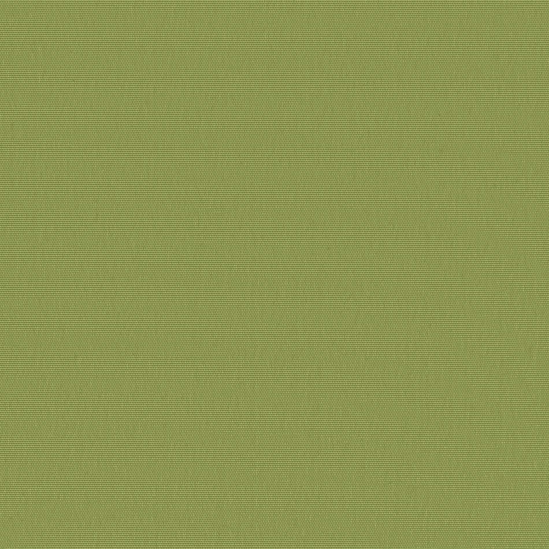 Altex - Tissu - BERLIN - Leaf Green - RF-BERLIN-0842