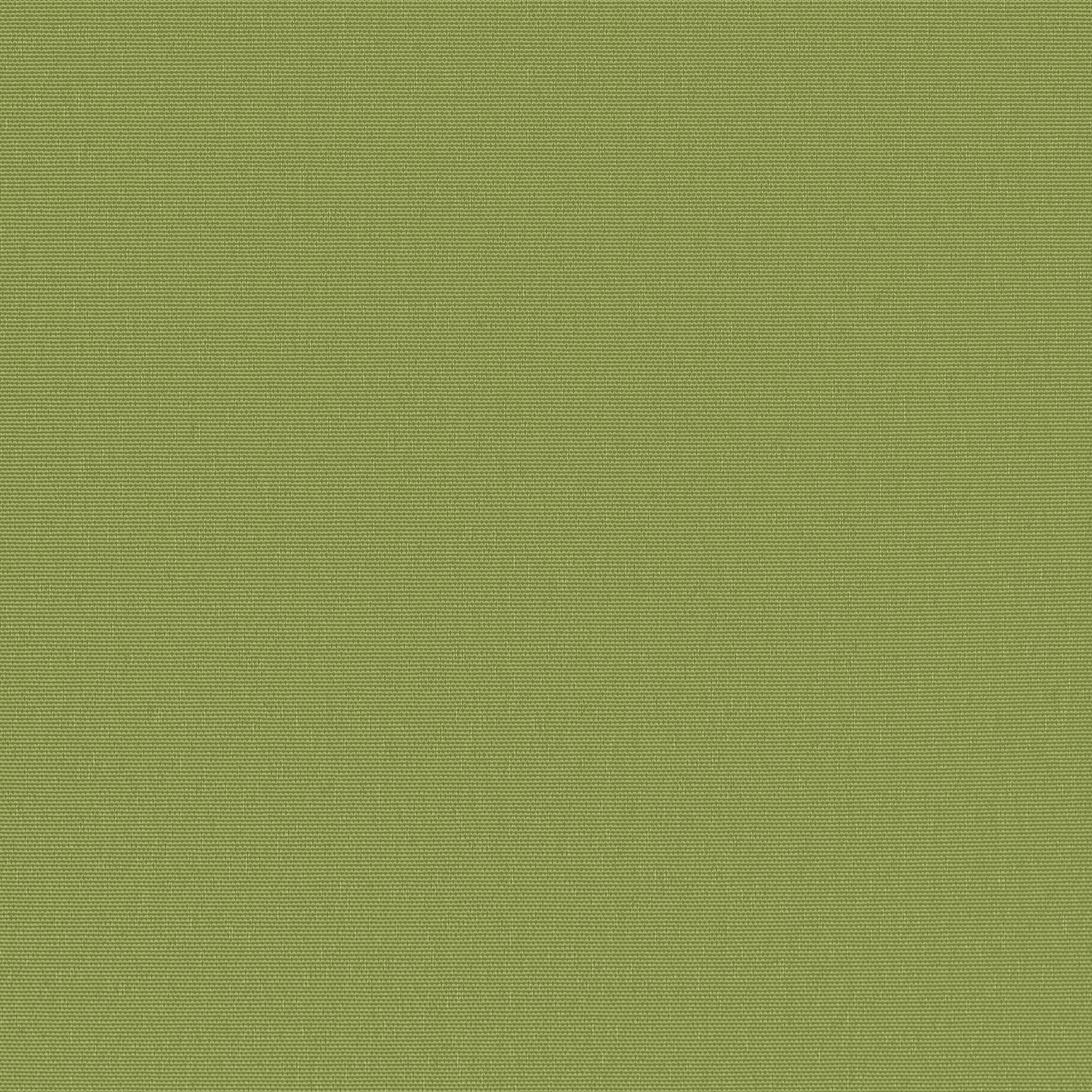 Altex - Fabric - BERLIN - Leaf Green - RF-BERLIN-0842