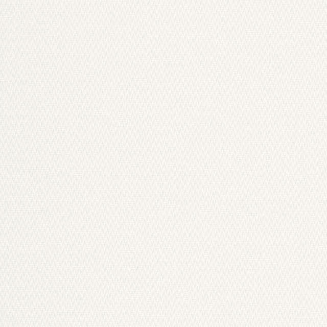 Altex - Fabric - NEPTUNE TRANSLUCIDE - Glacial White - 4421